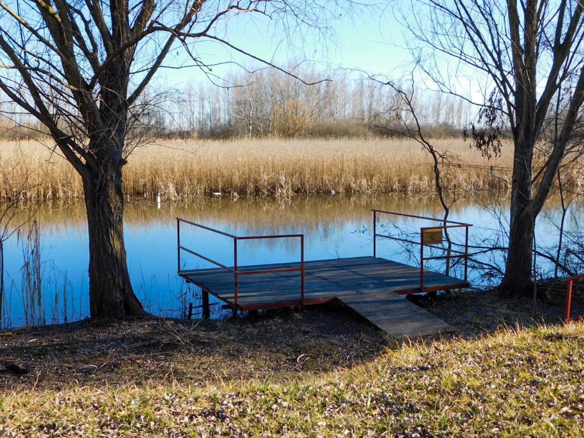 Гостевой дом Ponty-Lak Panzio Davod Экстерьер фото